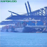 Sea Express Shipping DDP China إلى هولندا ألمانيا