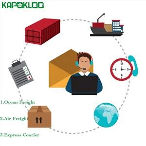 UPS DHL EMS FedEx Express من الصين